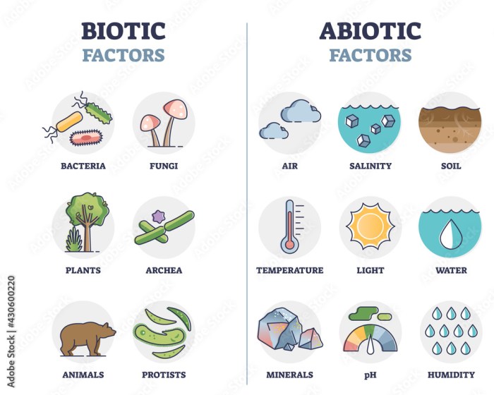 Abiotic and biotic venn diagram