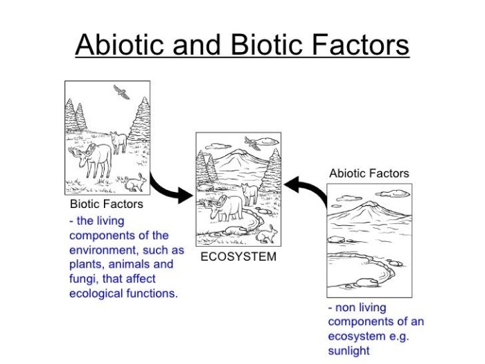 Abiotic and biotic venn diagram