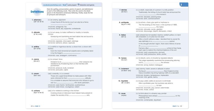 Vocabulary workshop level e unit 11