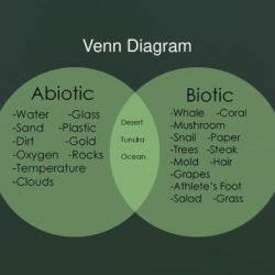 Abiotic and biotic venn diagram