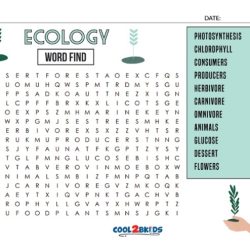 Eco word puzzle answer key