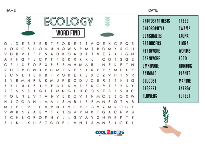 Eco word puzzle answer key