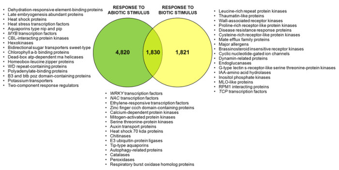 Abiotic biotic factors venn diagram environment ppt powerpoint presentation