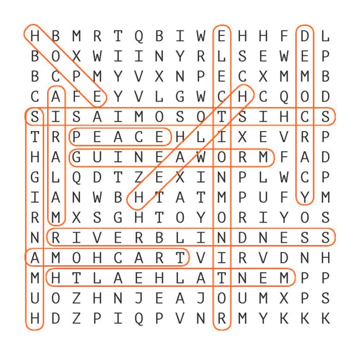 Eco word puzzle answer key